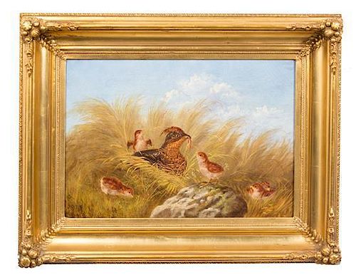 Artist Unknown, (American, Late 19th Century), Grouse Hen and Chicks