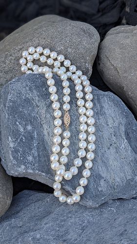 Pearl Necklace 