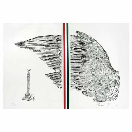 CARMEN PARRA, El ala del Águila de la Independencia, Firmado, Grabado al aguafuerte y aguatinta con textil 6 / 25, 60.5 x 87 cm