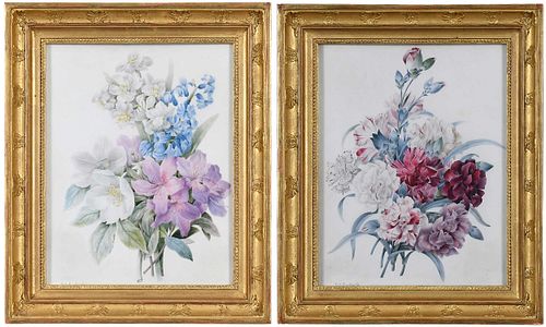 Two Botanical Watercolors, Follower of Pierre Joseph Redoute