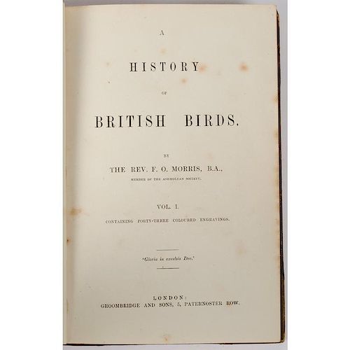 [Illustrated - Ornithology - Color Plates] Morris on British Birds, ca. 1860's, 8 Volumes with 358  Octavo Color Plates