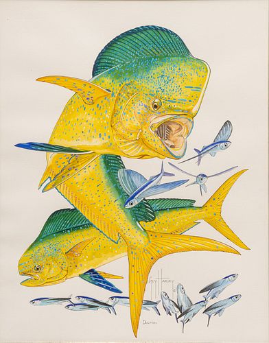 Guy Harvey (British, B. 1955) Watercolor And Ink on Paper, "Dolphin", H 21.5" W 17.5"