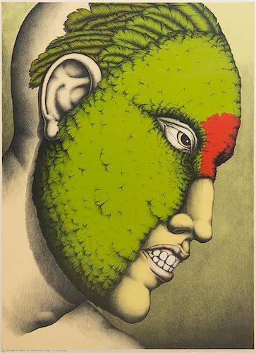 Robert Lostutter, (American, b. 1939), The Birds of Heaven, no. 14, Red Fronted Conure, 1974