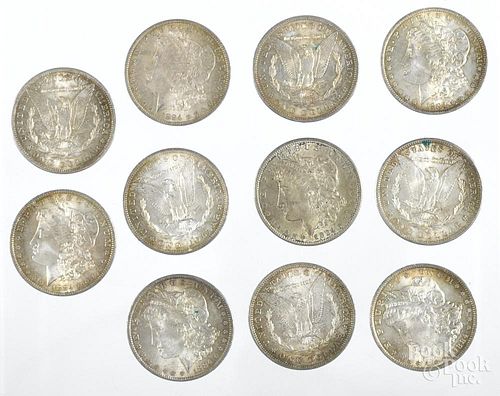 Eleven Morgan silver dollars, 1884 O.