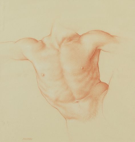 Rob Nicpon Male Torso Drawing
