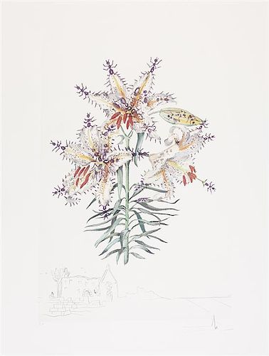 Salvador Dali, (Spanish, 1904-1989), Florals (suite of 15)