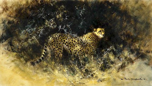 DAVID SHEPHERD (b. 1931), Cheetah in the Bush