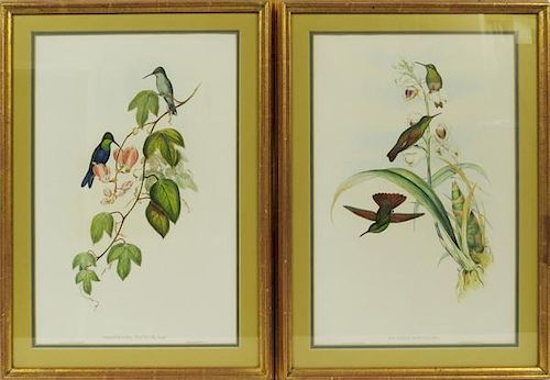J GOULD AND RICHTER HAND COLORED LITHOGRAPHS TWO