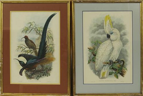 AFTER W. HART AVIARY COLOR LITHOGRAPHS TWO