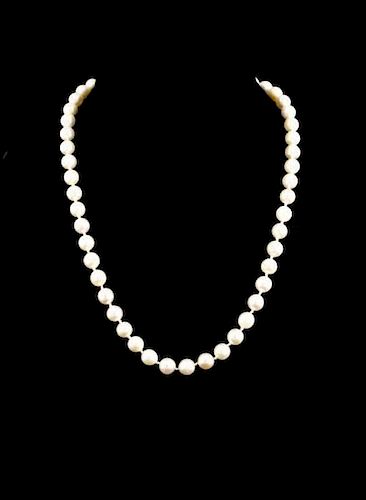 Akoya Pearl & 14k Yellow Gold Necklace (20")