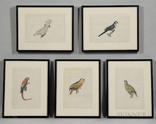 La Roche Laffitte (French, b. 1943)      Five Framed Watercolors of Parrots