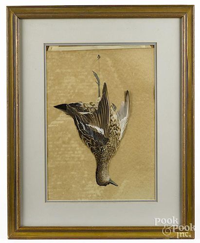 Pair of watercolor and feather works of hanging gamebirds, early 20th c., 18'' x 13''.