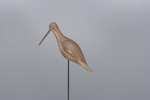 Matthews' Rig Turned-Head Dowitcher