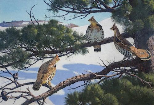 Aiden Lassell Ripley (1896-1969) Grouse on a Hard Pine