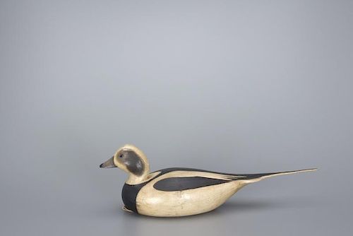 Long-Tailed Duck Mark S. McNair (b. 1950)