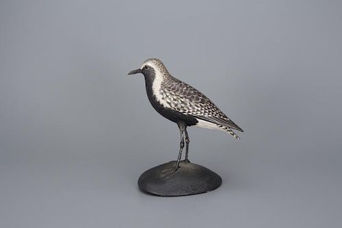 Black-Bellied Plover A. Elmer Crowell (1862-1952)