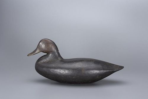 Black Duck Sam Collins, Jr. (1854-1948)