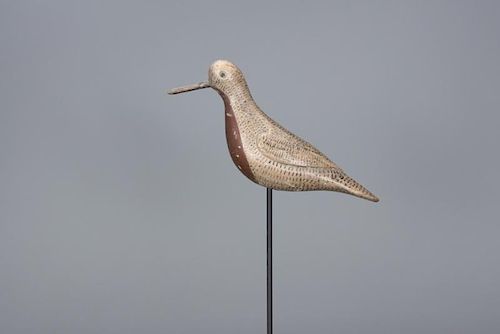 Red Knot Obediah Verity (1813-1901)