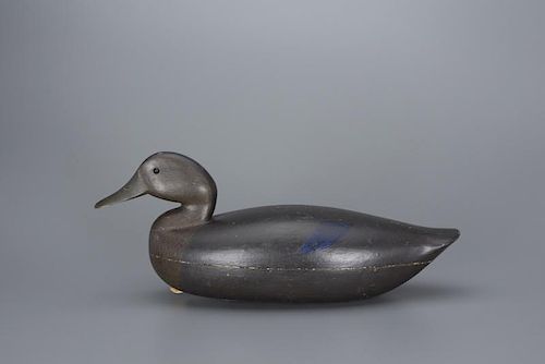 Black Duck George A. Harvey (1875-1945)