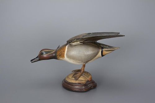 Green-Winged Teal William C. Gibian (b. 1946)
