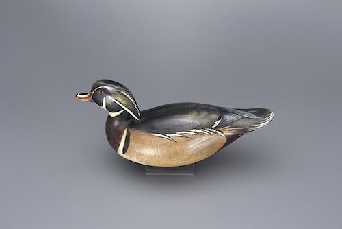 Swimming Wood Duck Drake Jim Schmiedlin (1945-2015)