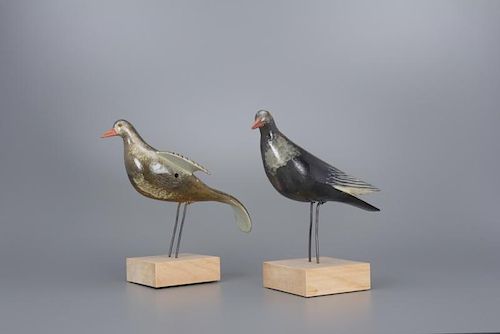 Pair of Rock Dove Charles H. Perdew (1874-1963)