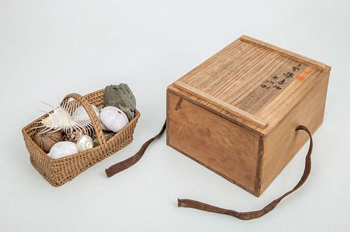 SMALL BASKET FILLED WITH SHELL SPECIMENS
