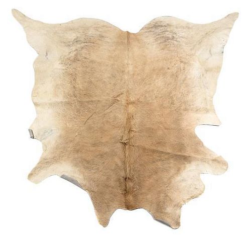 A Cow Hide Rug Length approximately 88 x width 94 inches.