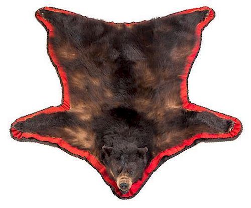 A Bear Skin Rug Length approximately 70 inches.