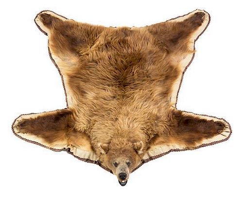 A Bear Skin Rug Length approximately 65 inches.
