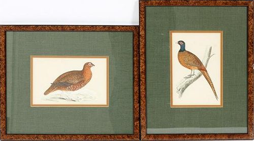 HAND-COLORED ORNITHOLOGICAL PRINTS TWO