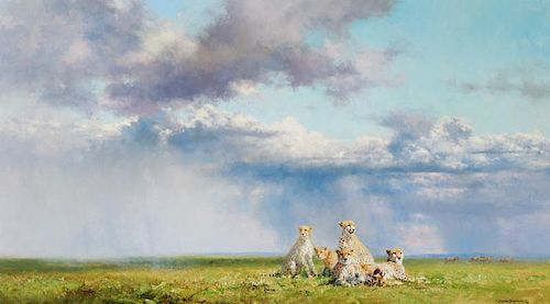 David Shepherd | The Angry Sky - Cheetahs