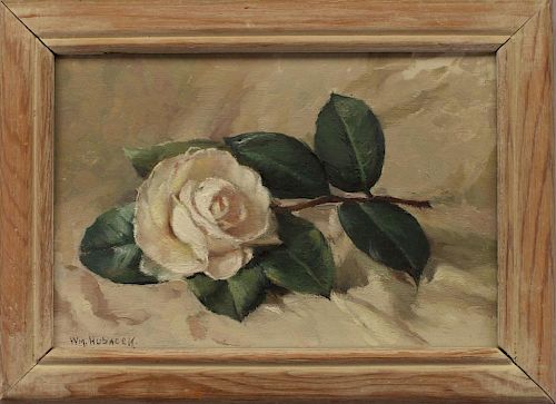 William Hubacek (1871 - 1958) White Rose