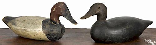 Carved and painted black duck decoy, early 20th c., probably New Jersey, together with a canvasbac