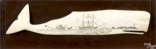 Scrimshaw decorated panbone whale plaque, early 20th c., depicted the ship Desdemona flanked by sc