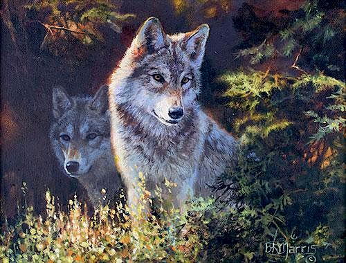 Wolves by Bonnie Marris
