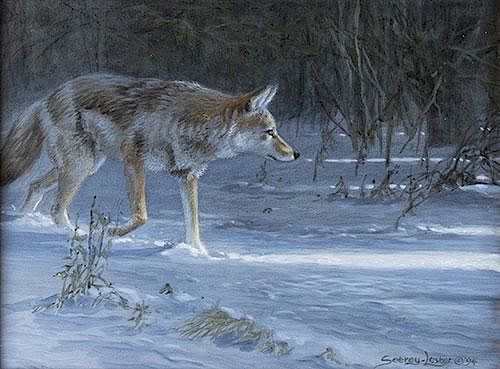 Coyote Moon by John Seerey-Lester