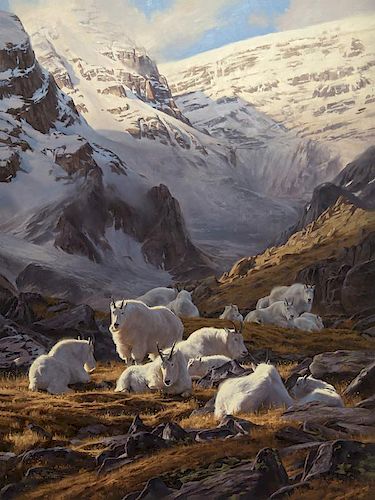 Hidden Valley Goats by Dustin Van Wechel