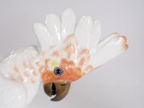 PR Meissen Porcelain Citron-Crested Cockatoo Model