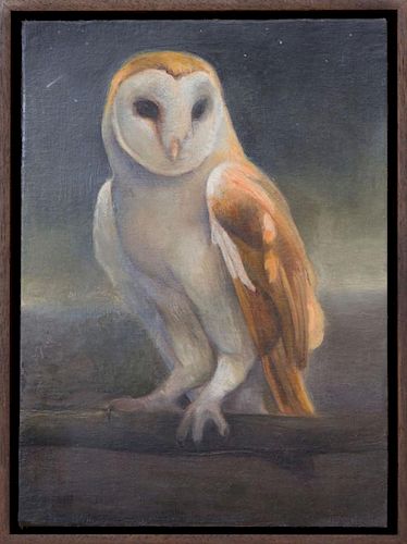 DAVID MOLESKY (b. 1977): BARN OWL