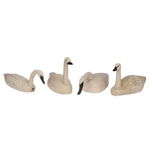 Group of Four Swan Decoys