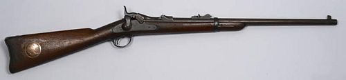 U.S. Model 1873 Springfield Carbine