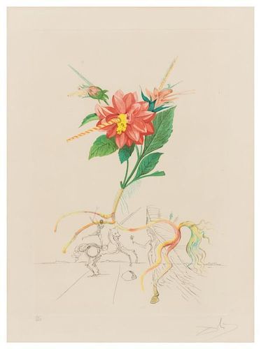Salvador Dali, (Spanish, 1904-1989), Dahlia Unicornis (from Flora Dalinae), 1968