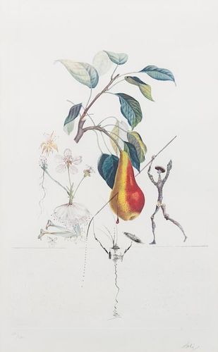 Salvador Dali, (Spanish, 1904-1989), Poire Don Quixote, 1969 (from FlorDali/Les Fruits)