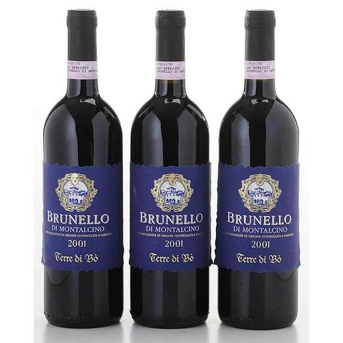 Three Bottles of 2001 Terre di Bo
