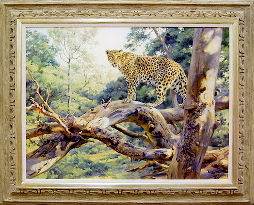 Donald Grant oil Painting Leopard