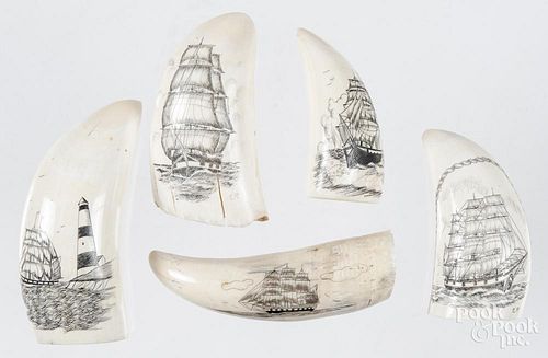 Five whale teeth