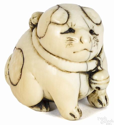 Japanese carved ivory cat netsuke