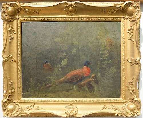 19th Century  oil on canvas  pheasant in the brush  unsigned  relined  14" x 18"  Provenance: Property from Credit Suiss...