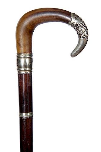 79. Victorian Horn Dress Cane- Ca. 1870- A nice curved horn with a silver metal endcap, engraved silver metal collar and spac
